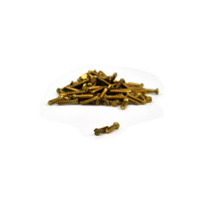 Flat head screw (10 pcs) fi 3,0 mm - 2 mm x 10 mm - brass